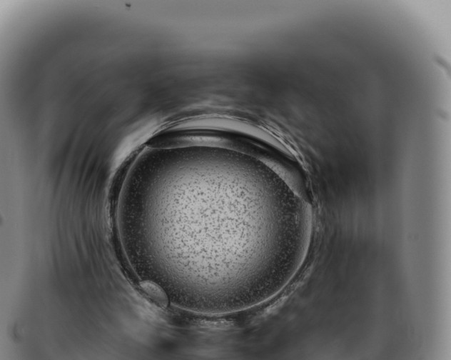 X0000096480245200801311602