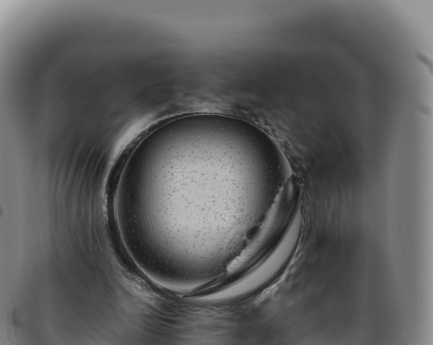 X0000096480246200801311602