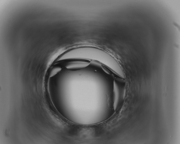 X0000096480248200801311602