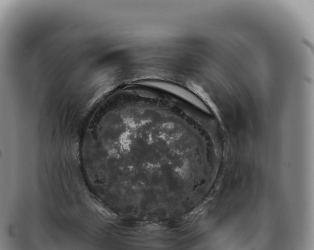 X0000096480249200801311602