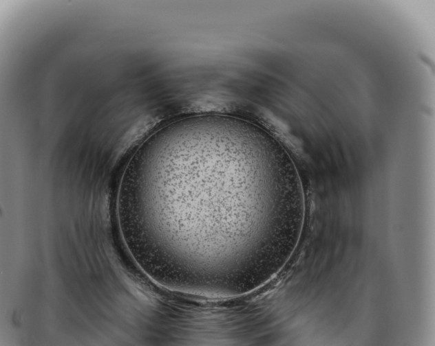 X0000096480250200801311602