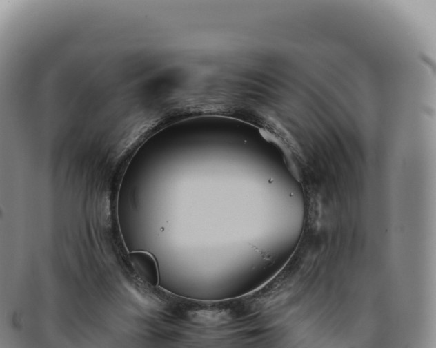 X0000096480251200801311602