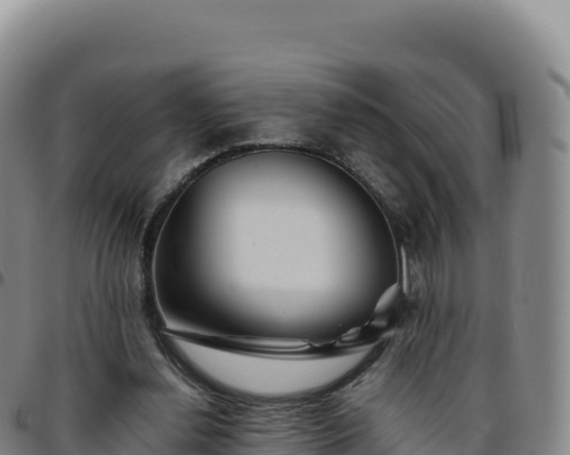 X0000096480252200801311602