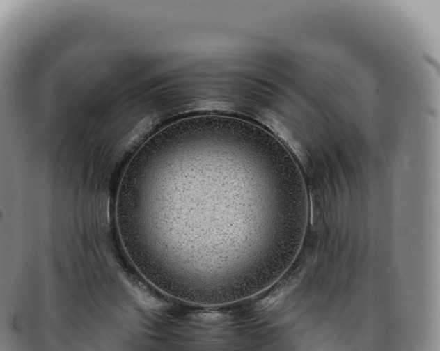 X0000096480253200801311602