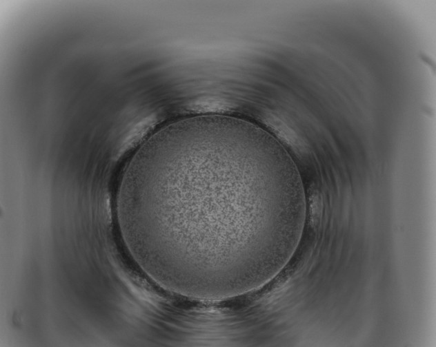 X0000096480254200801311602