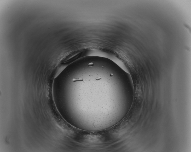 X0000096480255200801311602