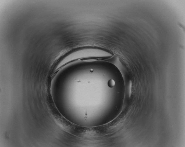 X0000096480256200801311602