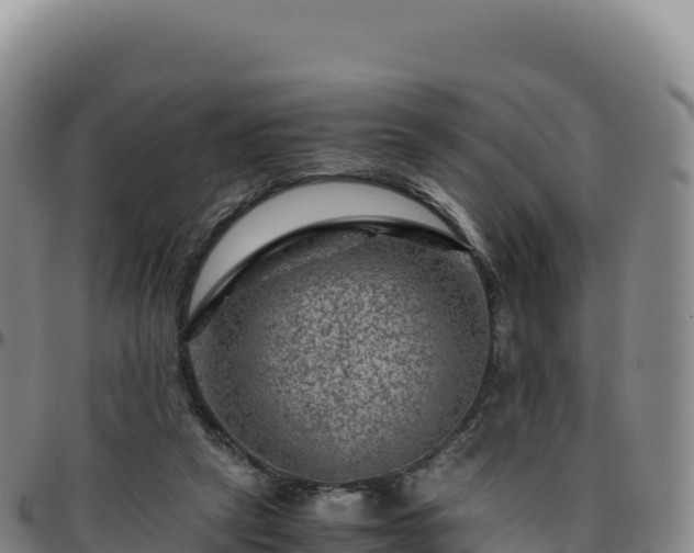 X0000096480257200801311602