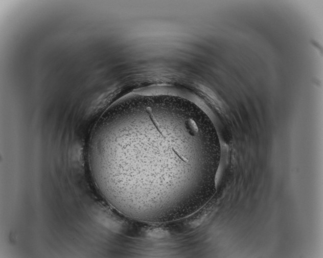 X0000096480258200801311602