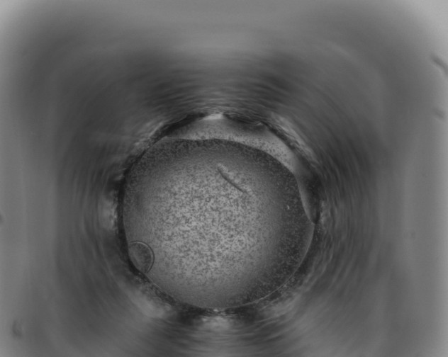 X0000096480259200801311602