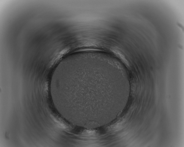 X0000096480260200801311602