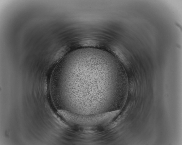 X0000096480261200801311602