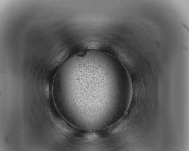 X0000096480262200801311602