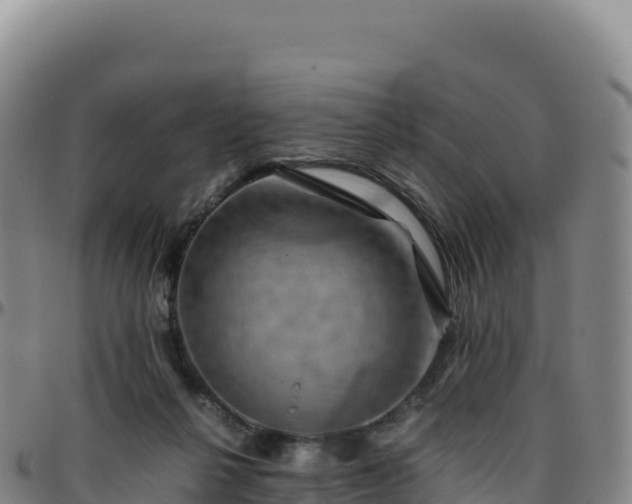 X0000096480264200801311602