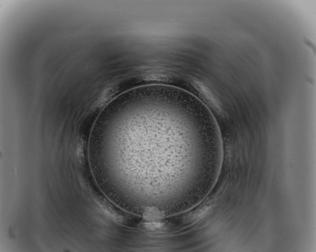 X0000096480265200801311602