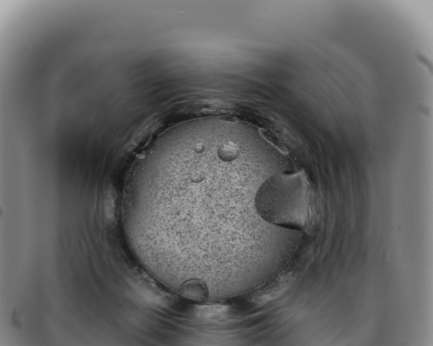 X0000096480266200801311602