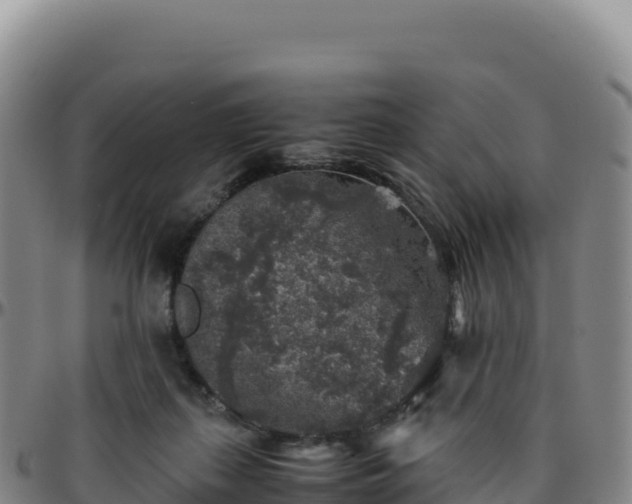 X0000096480267200801311602