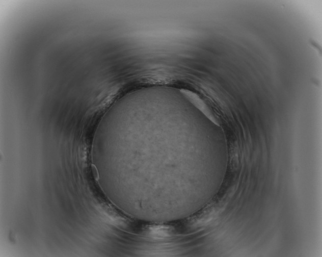 X0000096480268200801311602