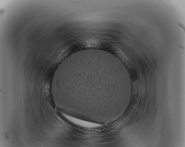 X0000096480269200801311602