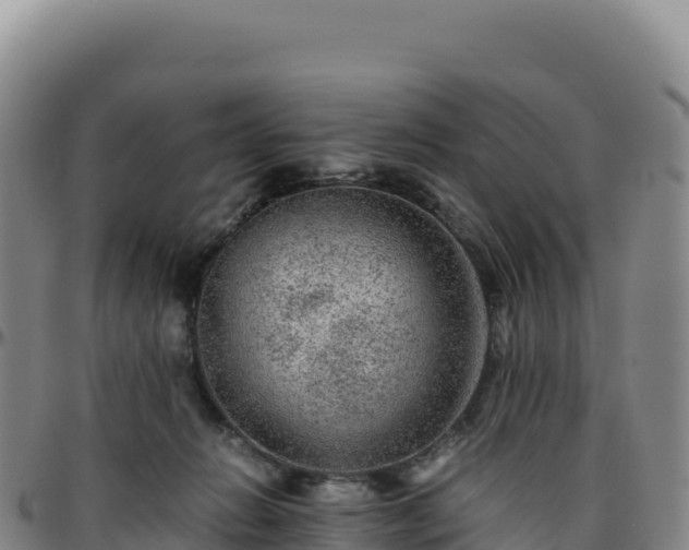 X0000096480270200801311602