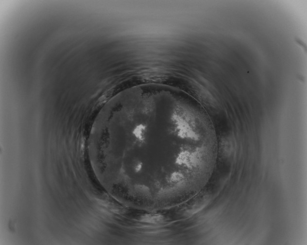 X0000096480271200801311602