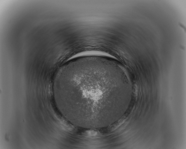 X0000096480272200801311602