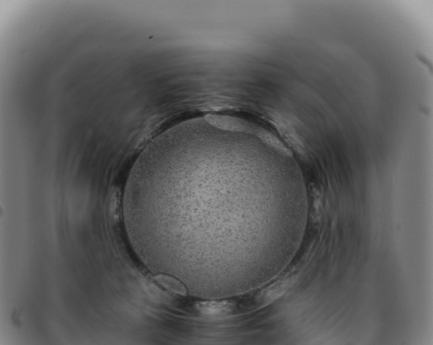 X0000096480273200801311602