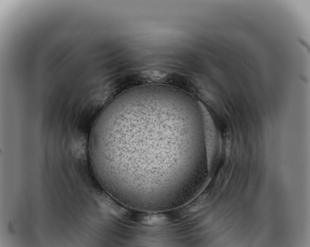 X0000096480274200801311602