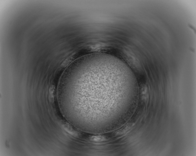 X0000096480275200801311602