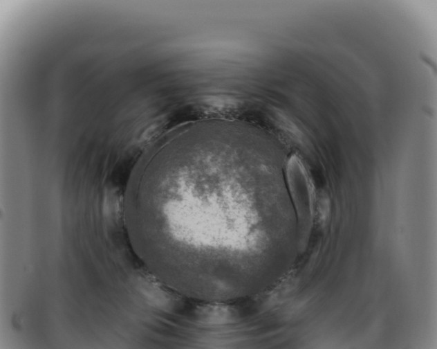 X0000096480276200801311602