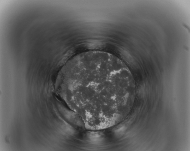 X0000096480277200801311603