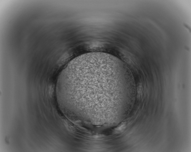 X0000096480278200801311603