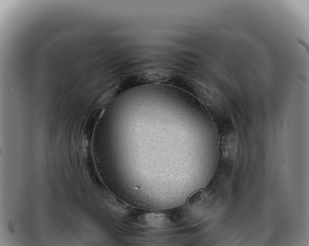 X0000096480279200801311603