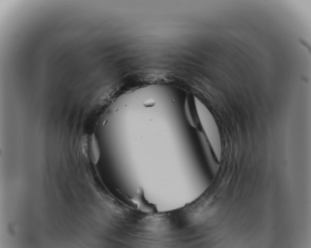 X0000096480280200801311603