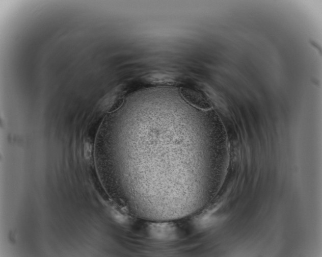 X0000096480281200801311603