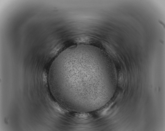 X0000096480282200801311603