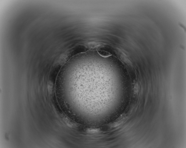 X0000096480283200801311603