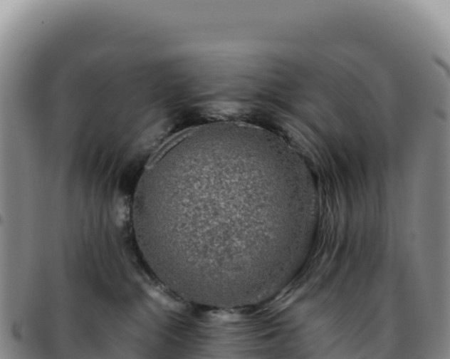 X0000096480284200801311603