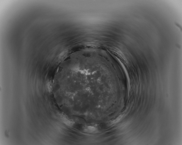 X0000096480285200801311603