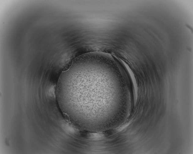 X0000096480286200801311603