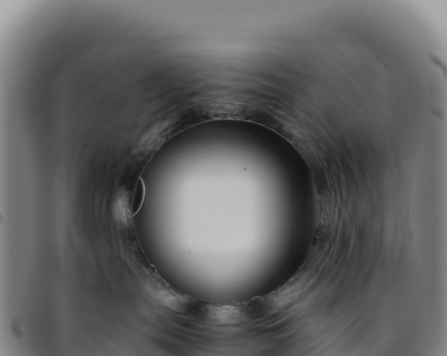 X0000096480287200801311603