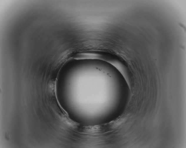 X0000096480288200801311603