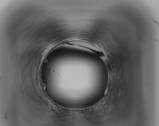 X0000096480289200801311602