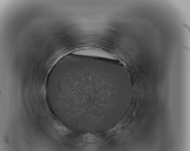 X0000096480290200801311602