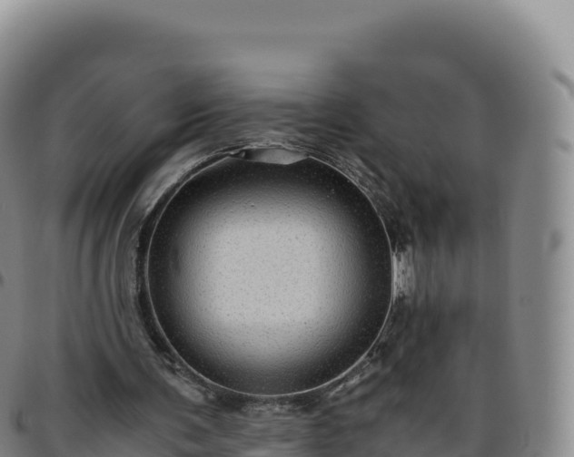 X0000096480291200801311602