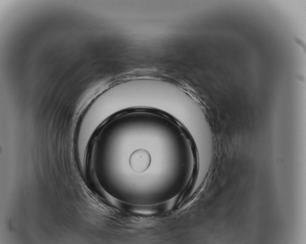 X0000096480293200801311602