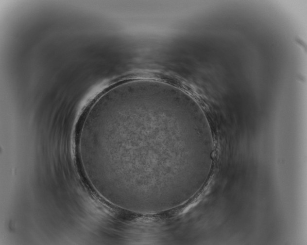 X0000096480294200801311602