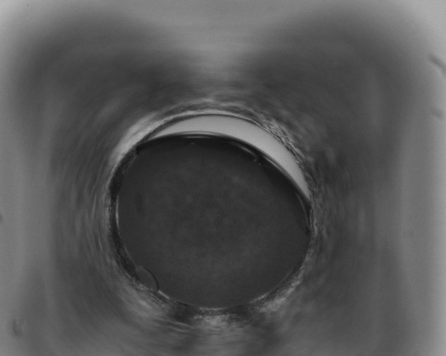 X0000096480295200801311602