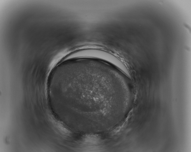 X0000096480296200801311602