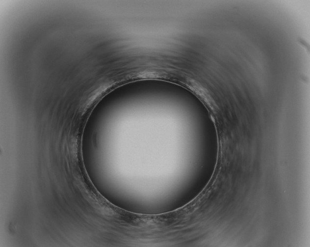 X0000096480297200801311602